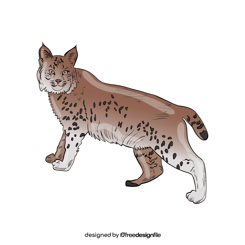 Wild cat Lynx clipart