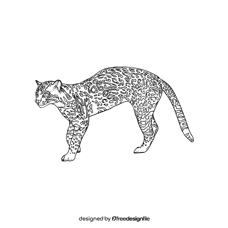 Wild cat Ocelot black and white clipart