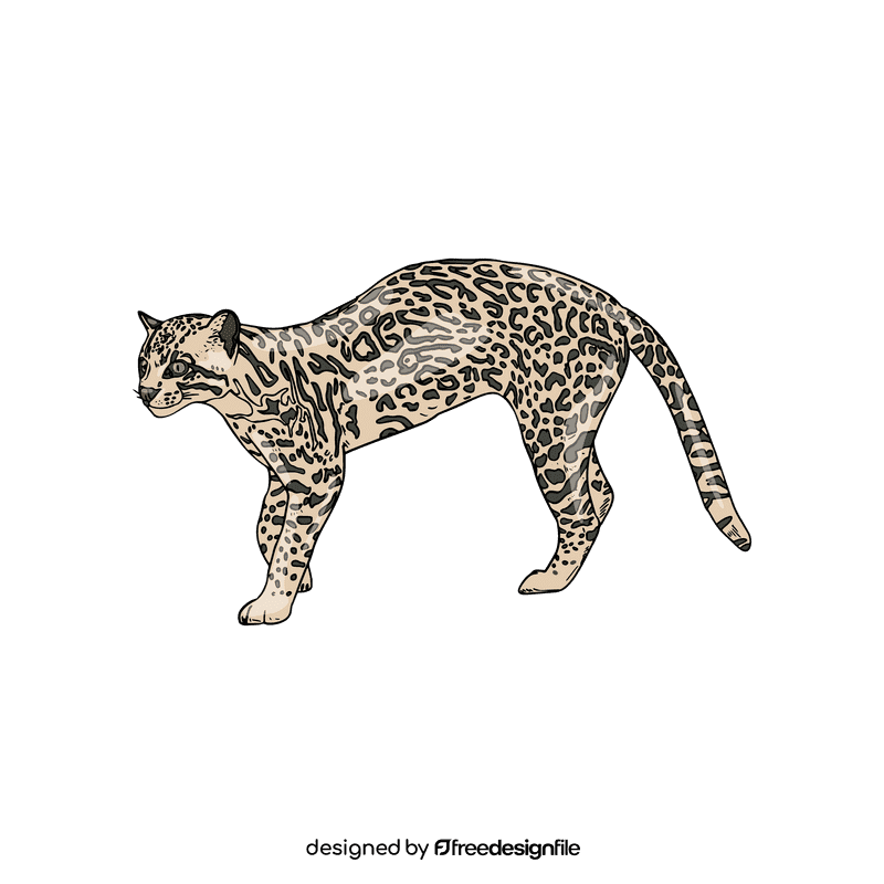 Wild cat Ocelot clipart