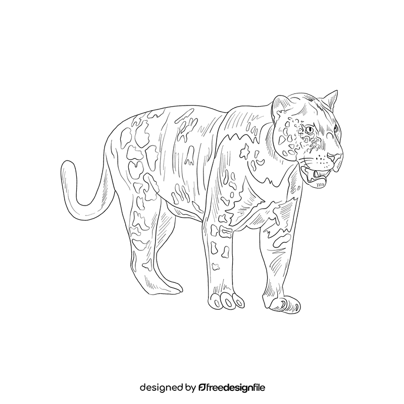 Wild cat Panther black and white clipart