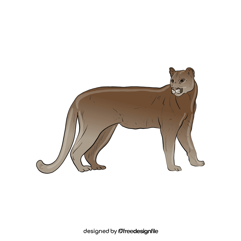 Wild cat Puma clipart