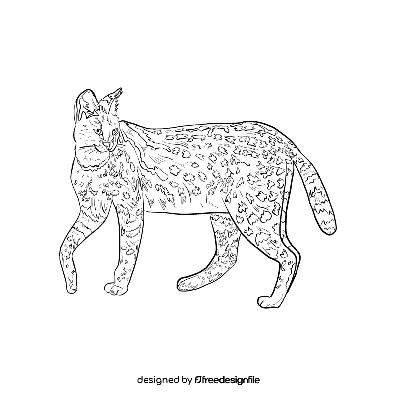 Wild cat Serval black and white clipart