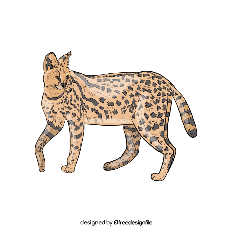 Wild cat Serval clipart