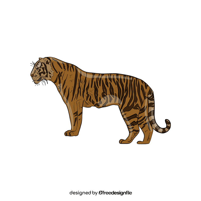 Wild cat Tiger clipart