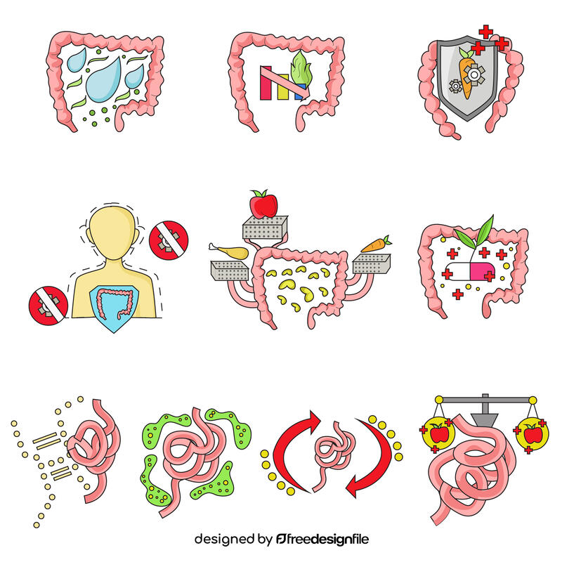 Intestine set vector