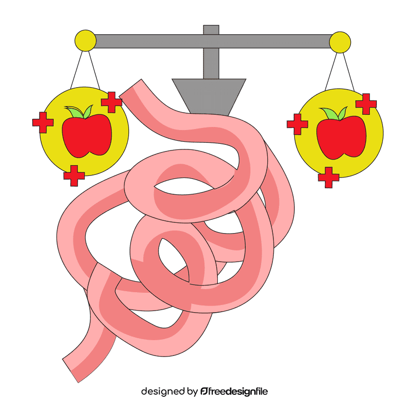 Intestine food neutralization clipart