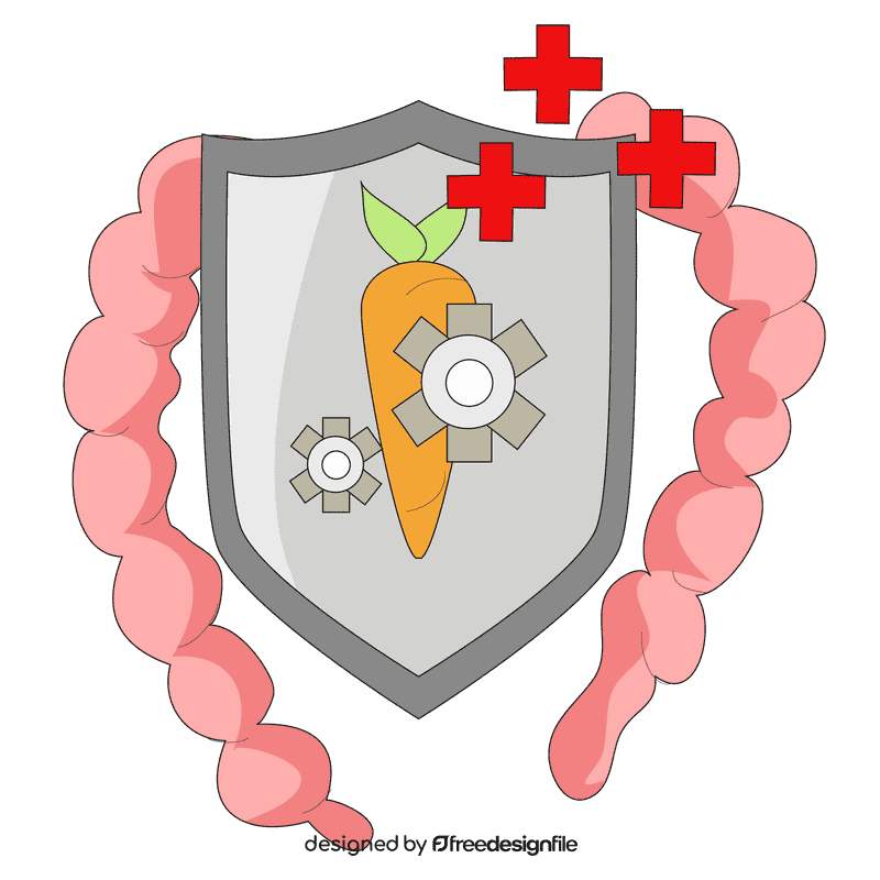 Intestine protect digestive system clipart