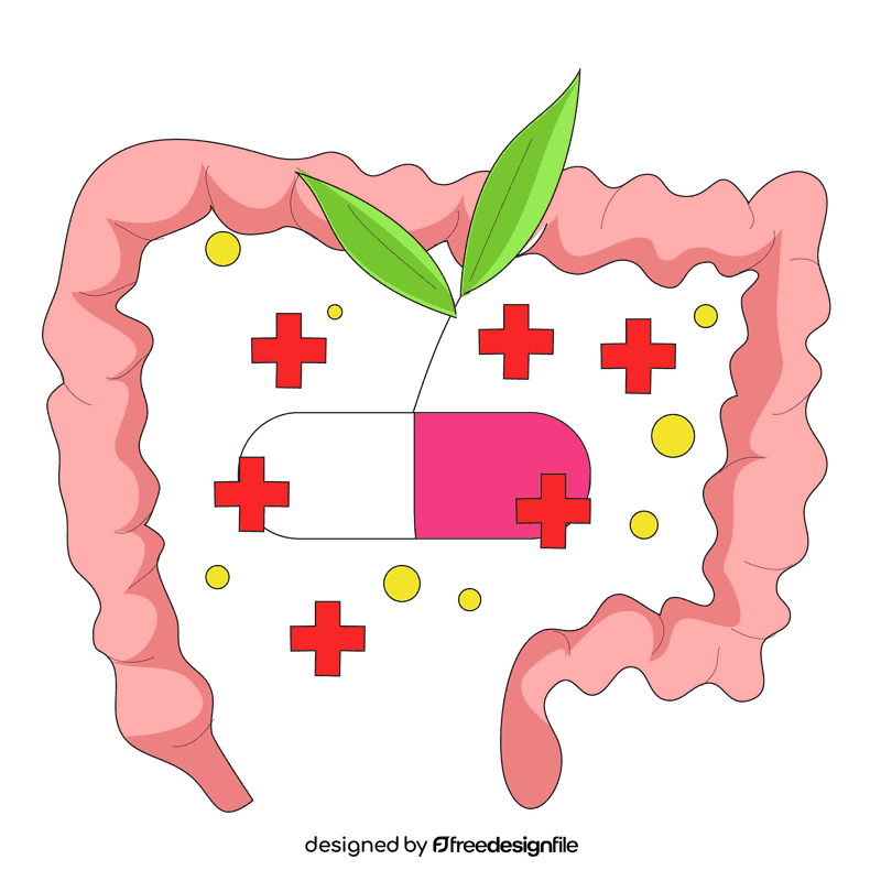Intestine vitamin absorption clipart