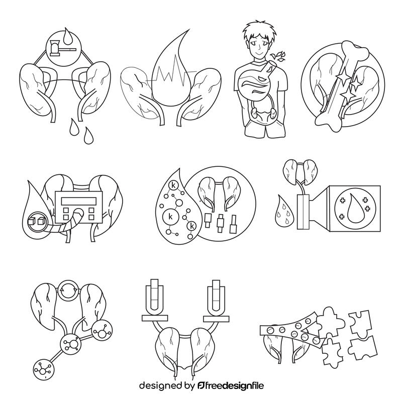 Kidney set black and white vector