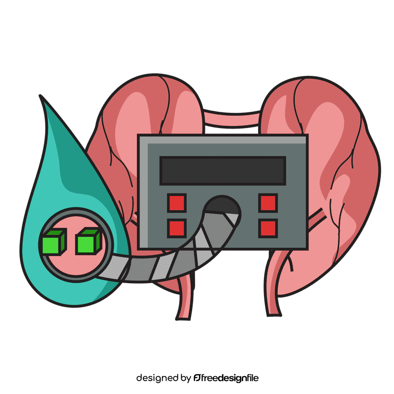 Kidney control blood sugar level clipart
