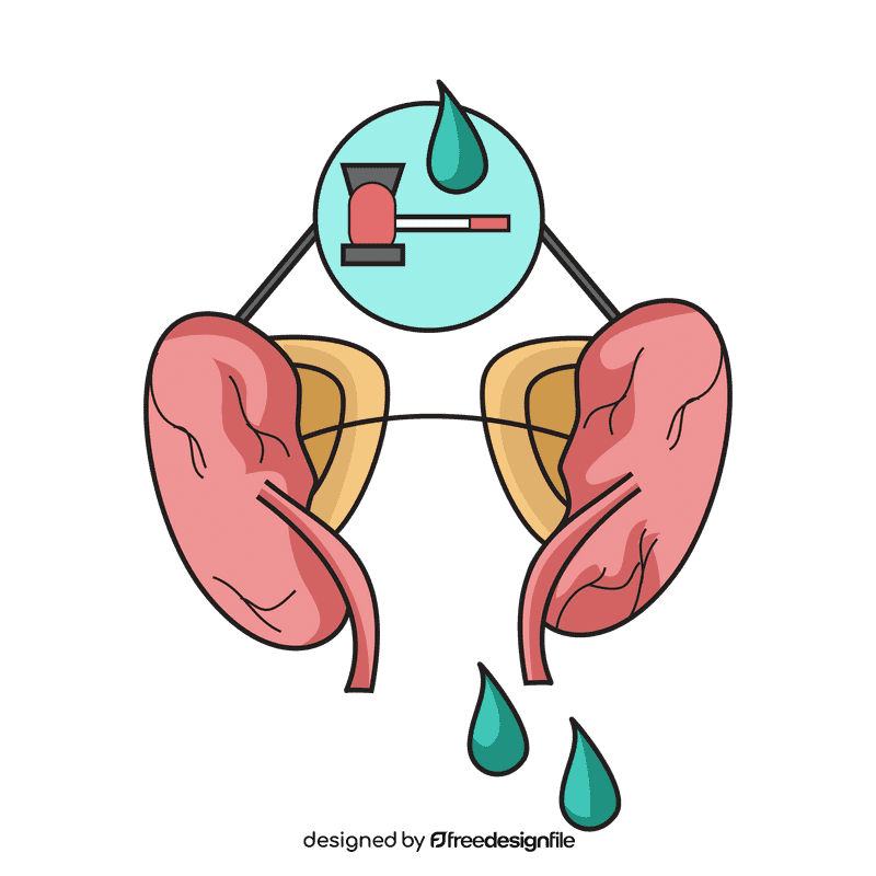 Kidney maxing urine clipart