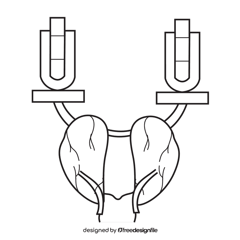 Kidney adjust level acid and base black and white clipart