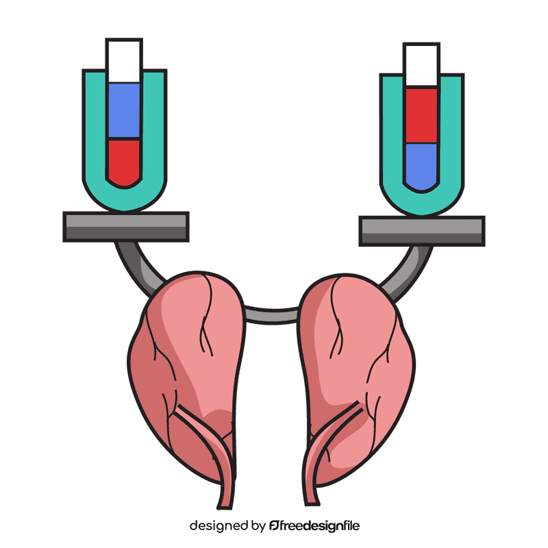 Kidney adjust level acid and base clipart