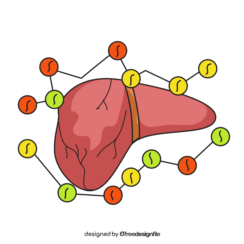 Liver avoid blood clots clipart