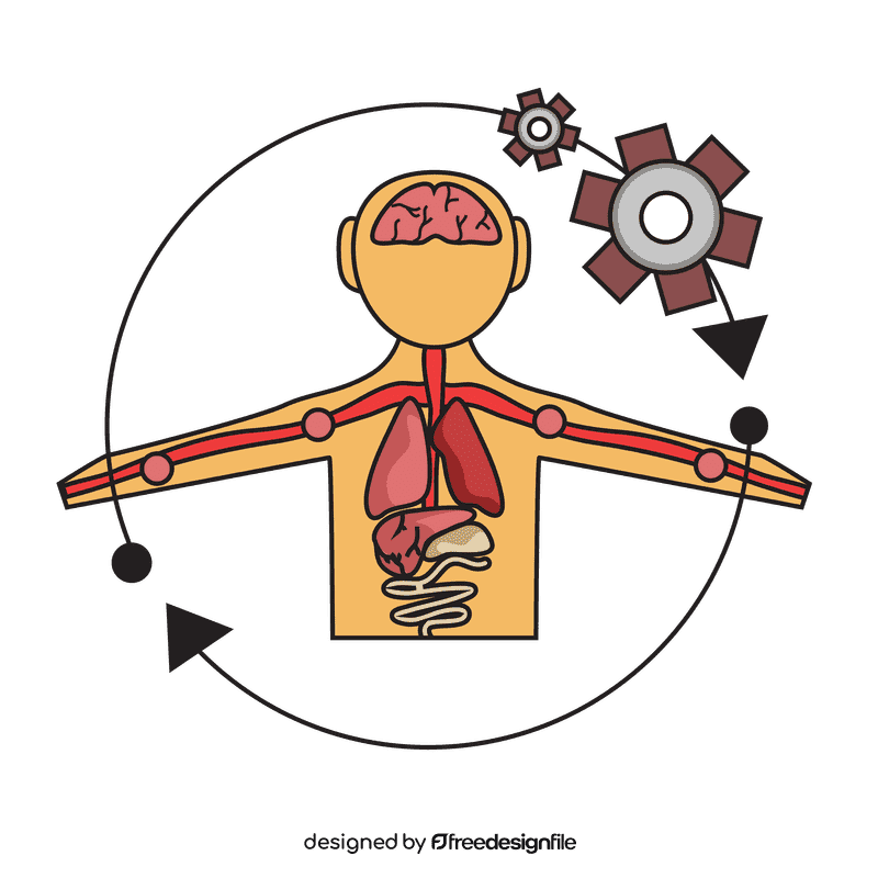 Liver control body circulation clipart