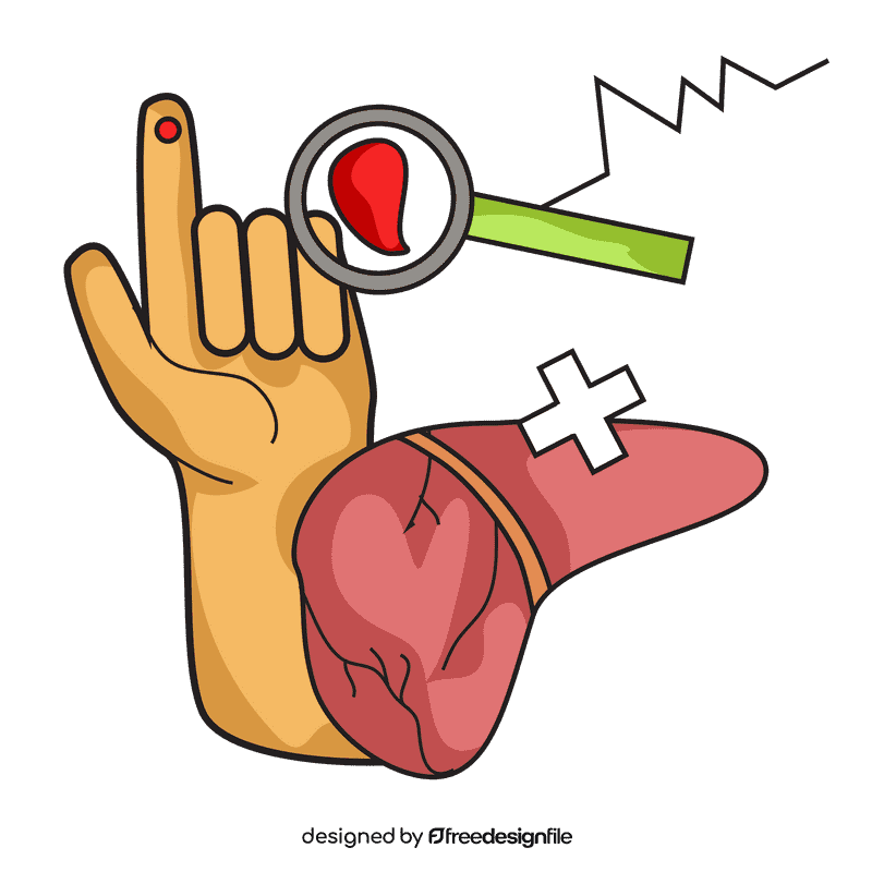 Liver check health clipart