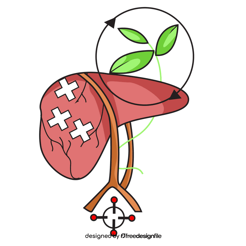 Liver detoxification clipart