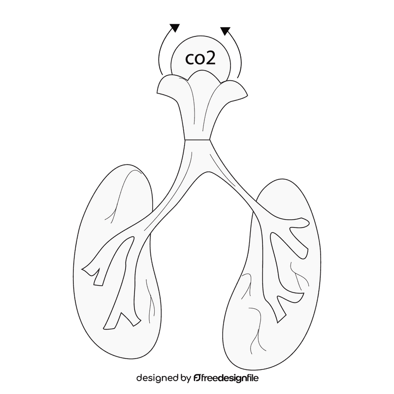 Lungs excretion carbon dioxide black and white clipart