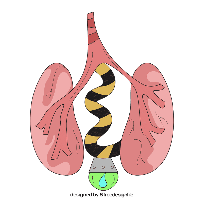 Lungs filter blood clipart