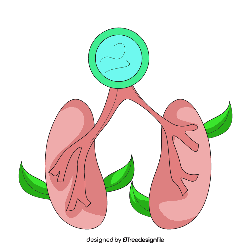 Lung breath clipart
