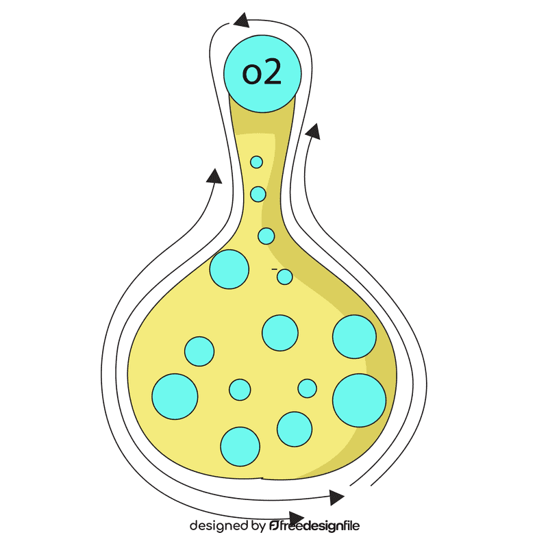 Lungs oxygen enter red blood cell clipart