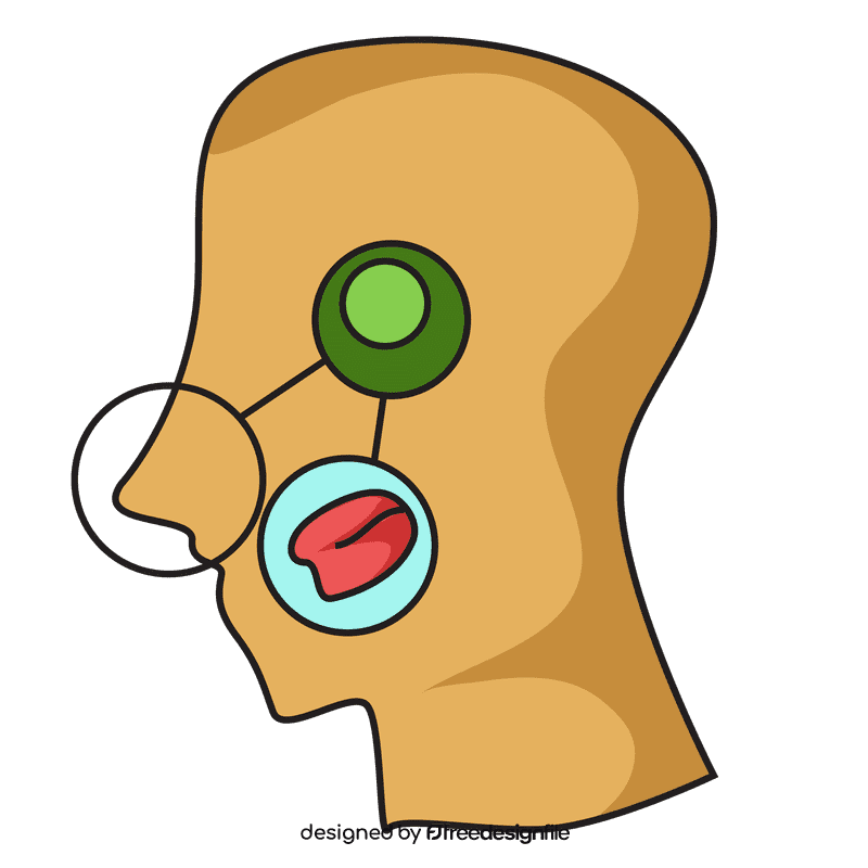 Nose relation with taste sense clipart