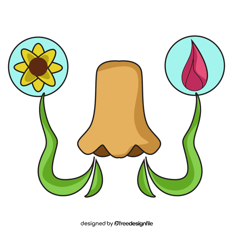 Nose smell sense clipart