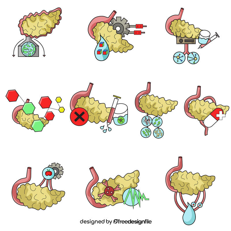 Pancreas set vector