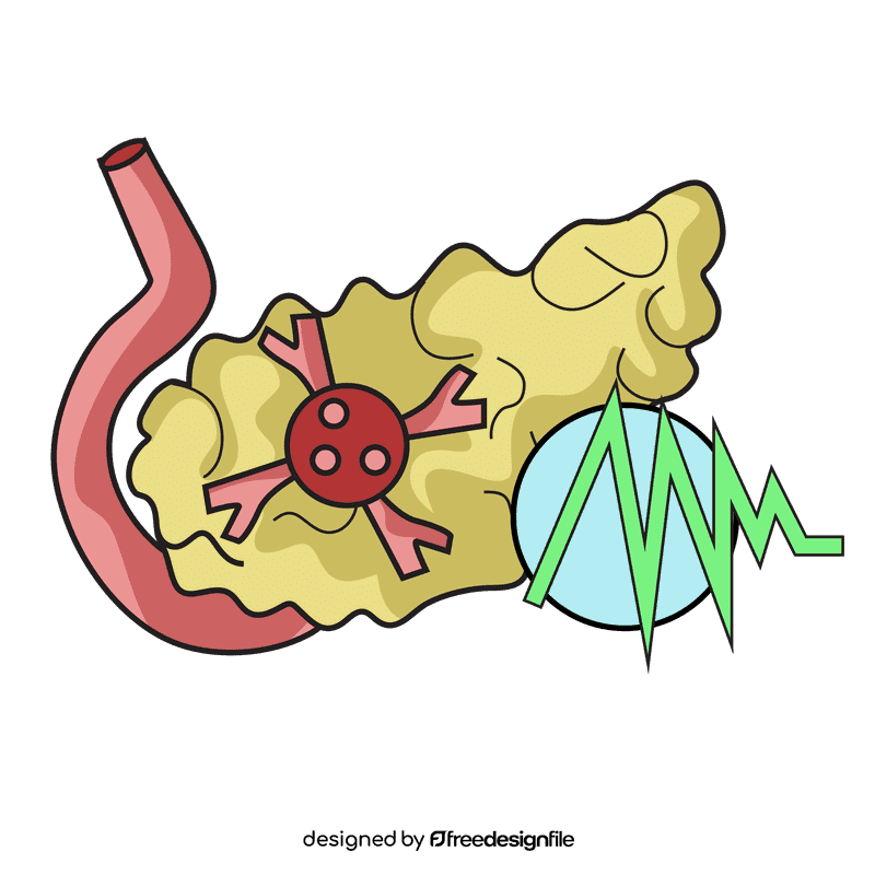 Cancer pancreas clipart