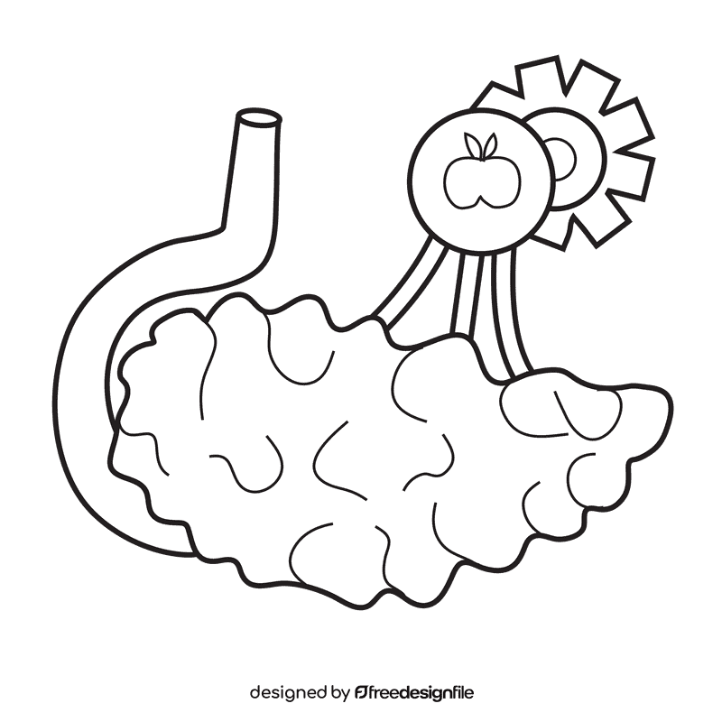 Pancreas digestive system black and white clipart