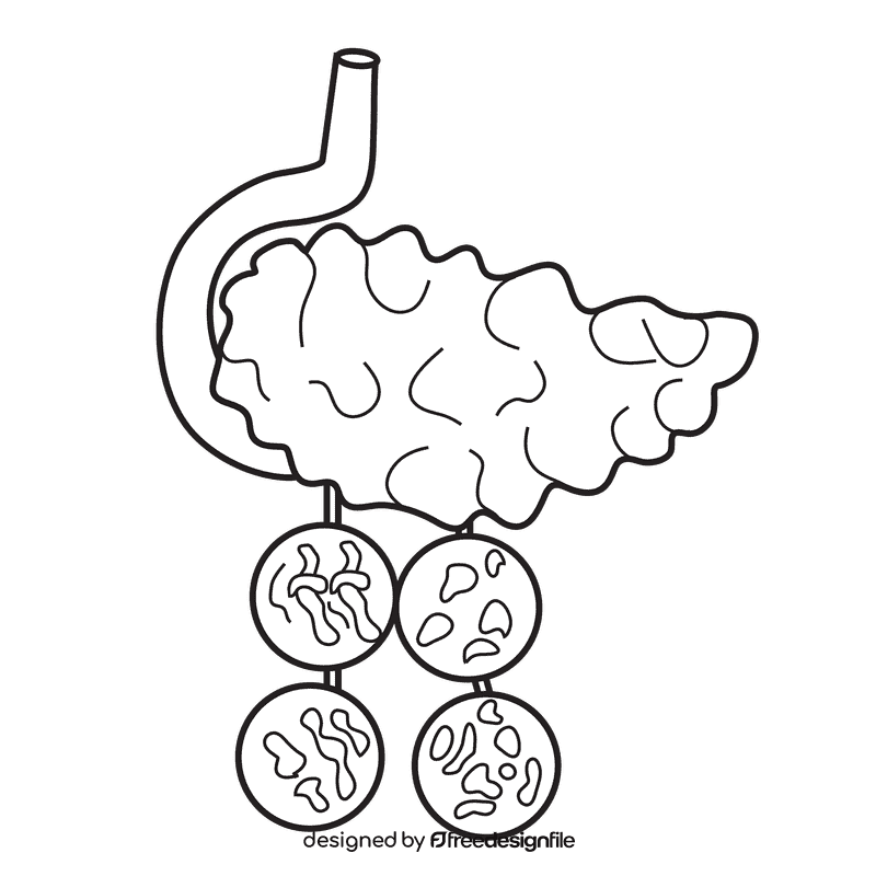 Pancreas pancreatitis black and white clipart