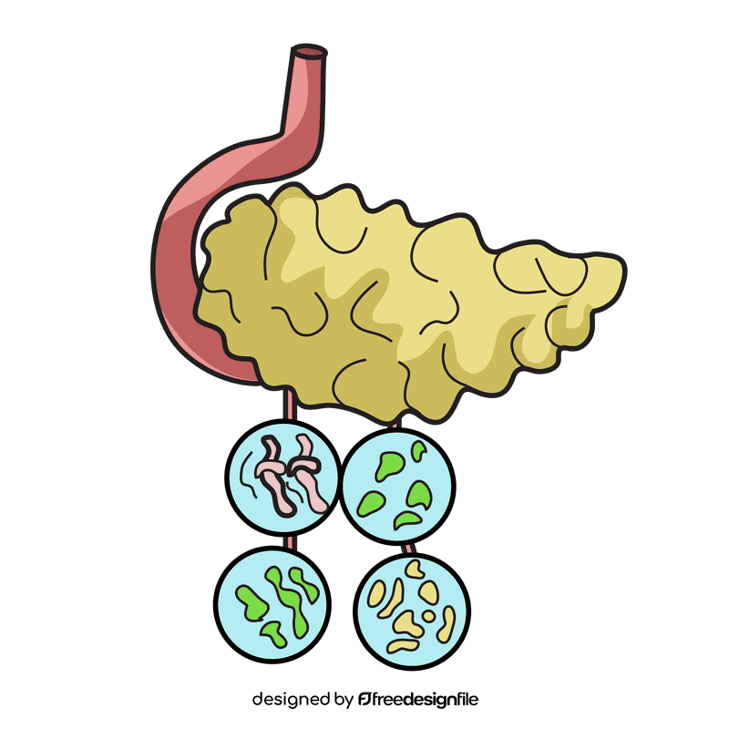 Pancreas pancreatitis clipart