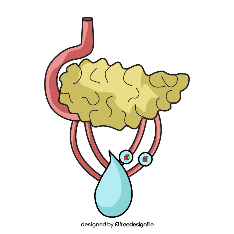 Pancreas reduce blood sugar clipart