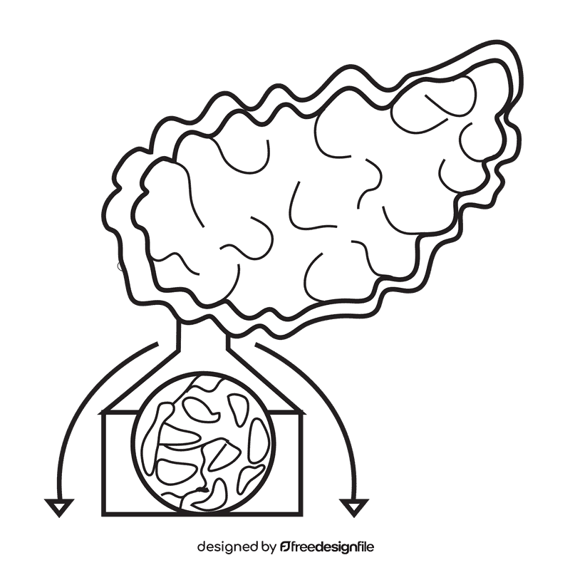 Pancreas releasing enzymes black and white clipart