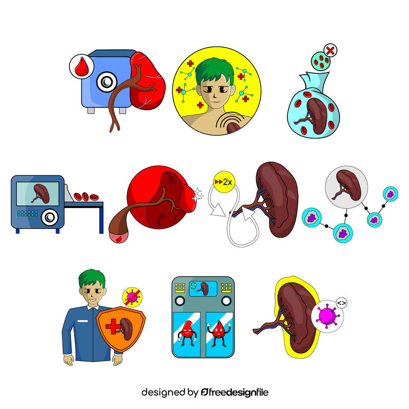 Spleen vector set vector
