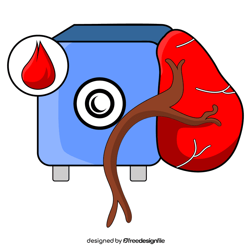 Spleen blood supply clipart