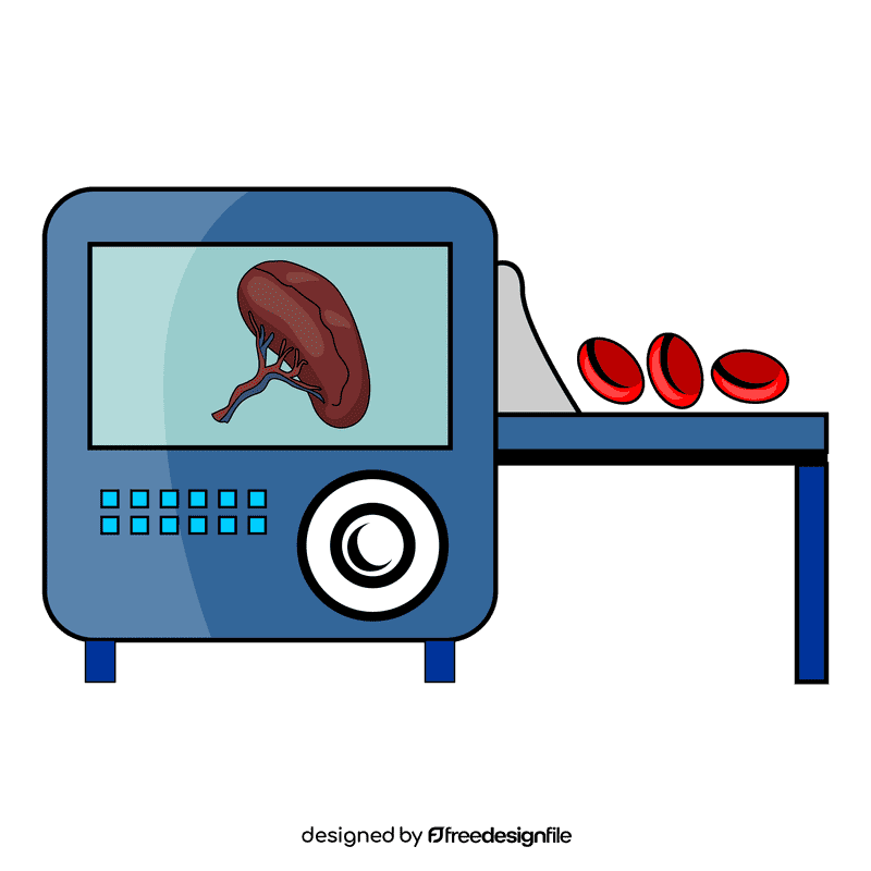 Spleen cell blood produce clipart