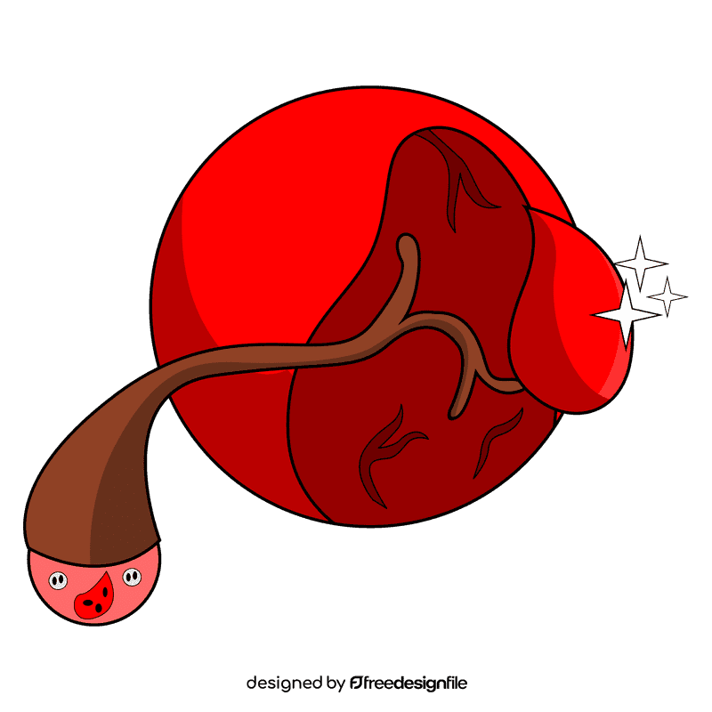 Spleen filter red blood cell clipart