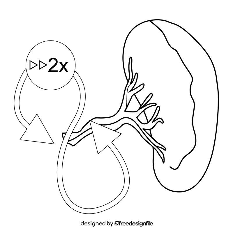 Spleen hipersplenisme black and white clipart