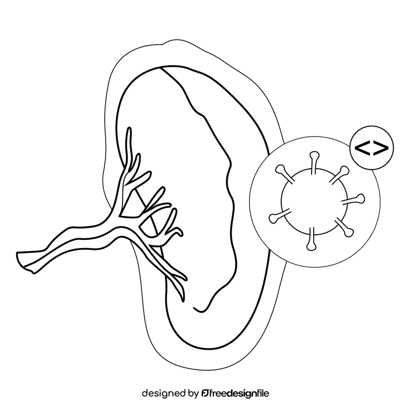 Spleen splenomegali black and white clipart