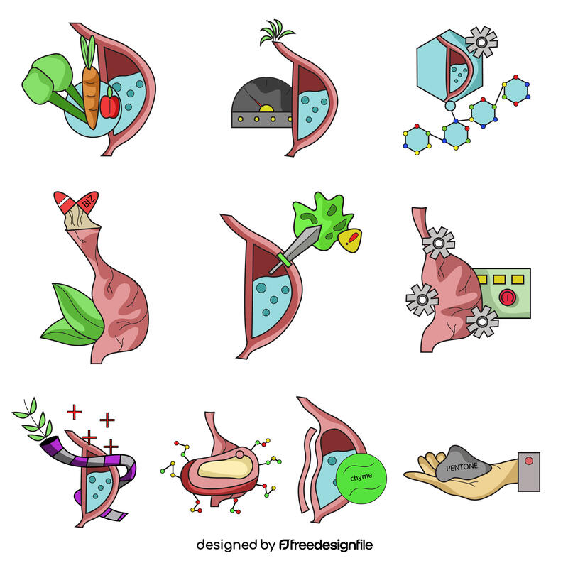 Stomach set vector