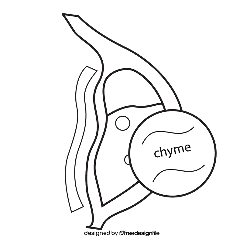 Stomach chyme produces black and white clipart