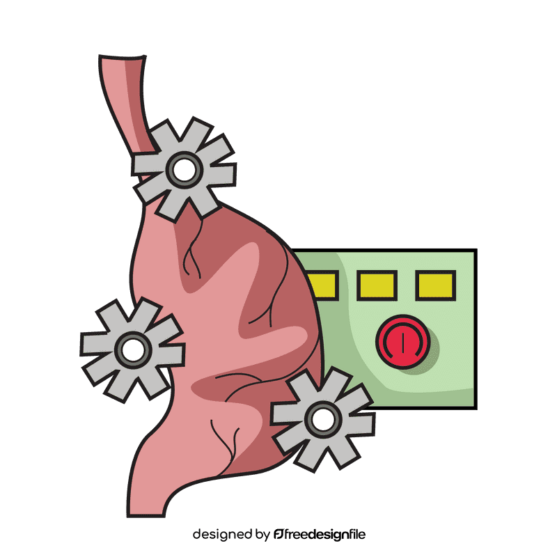 Stomach digest food clipart
