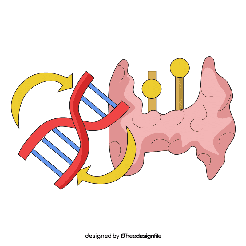 Thyroid reproduces cell control clipart