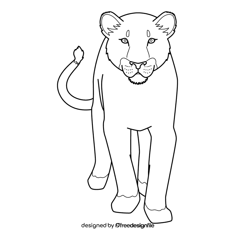 Lioness Walking Towards black and white clipart