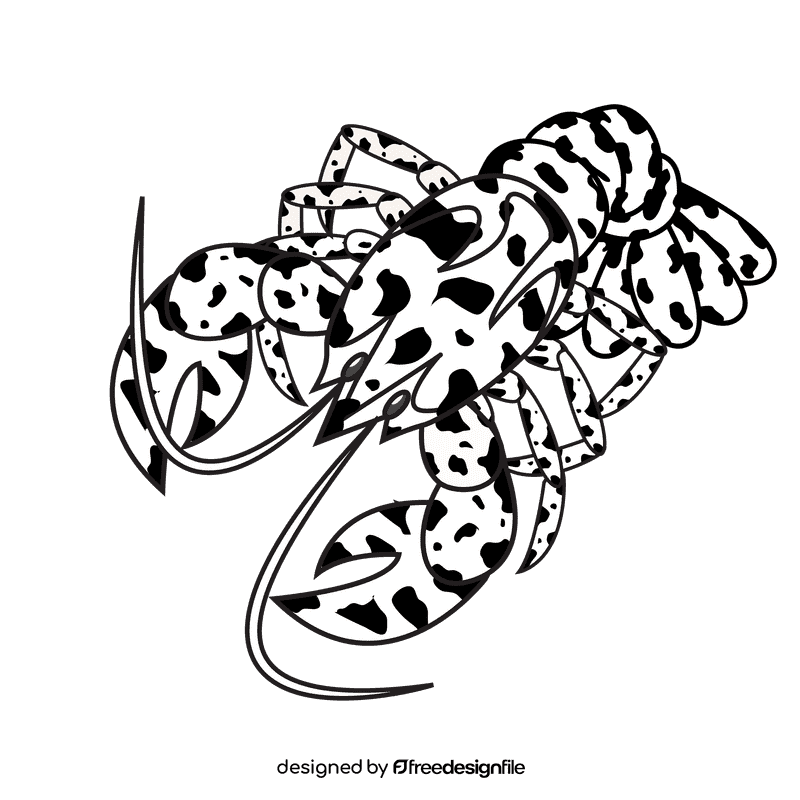 Lobster Calico black and white clipart