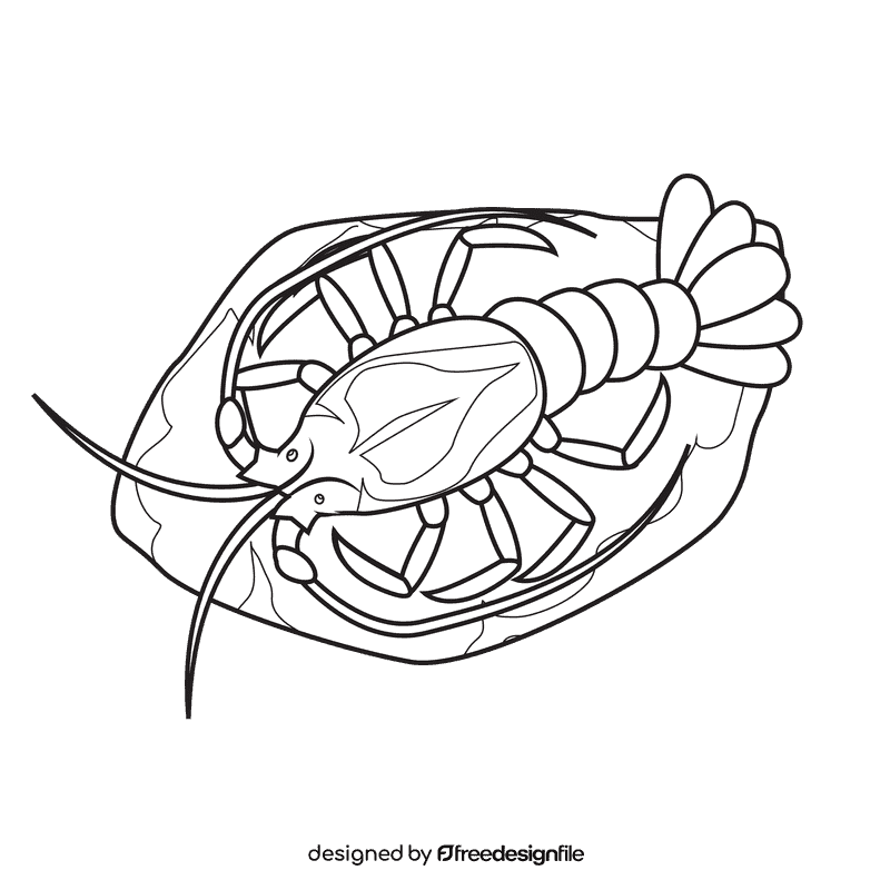 Lobster Spinny black and white clipart