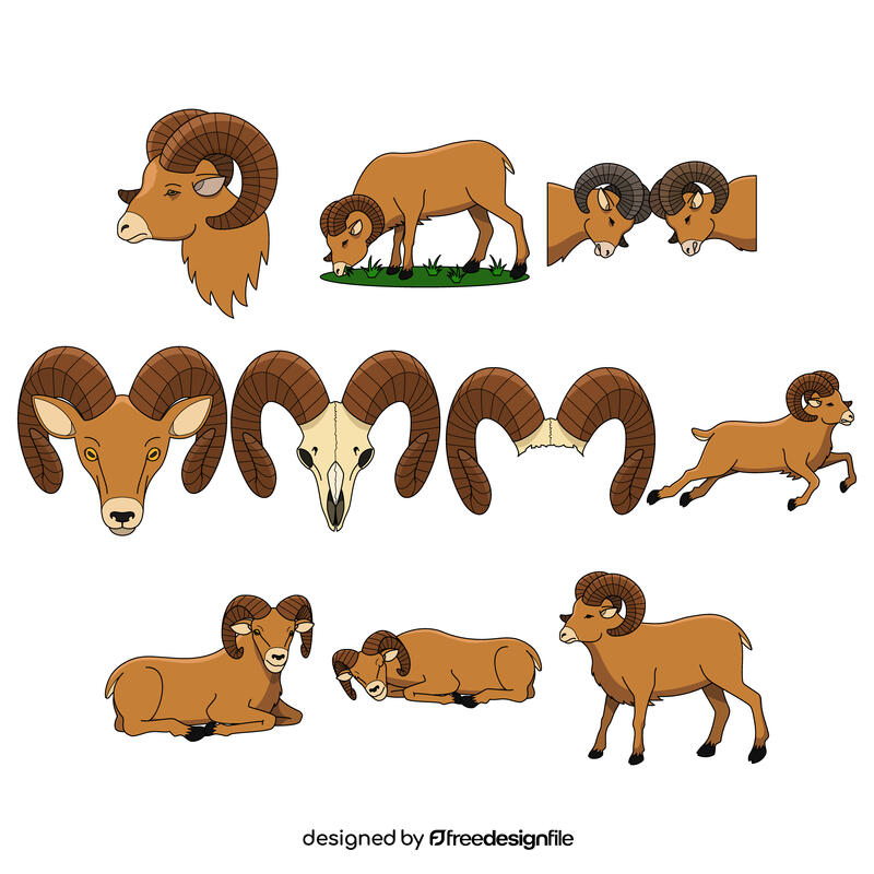 Ram vector Set vector