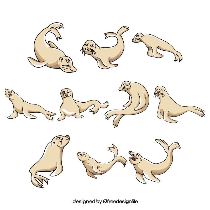 Sealion vector set vector