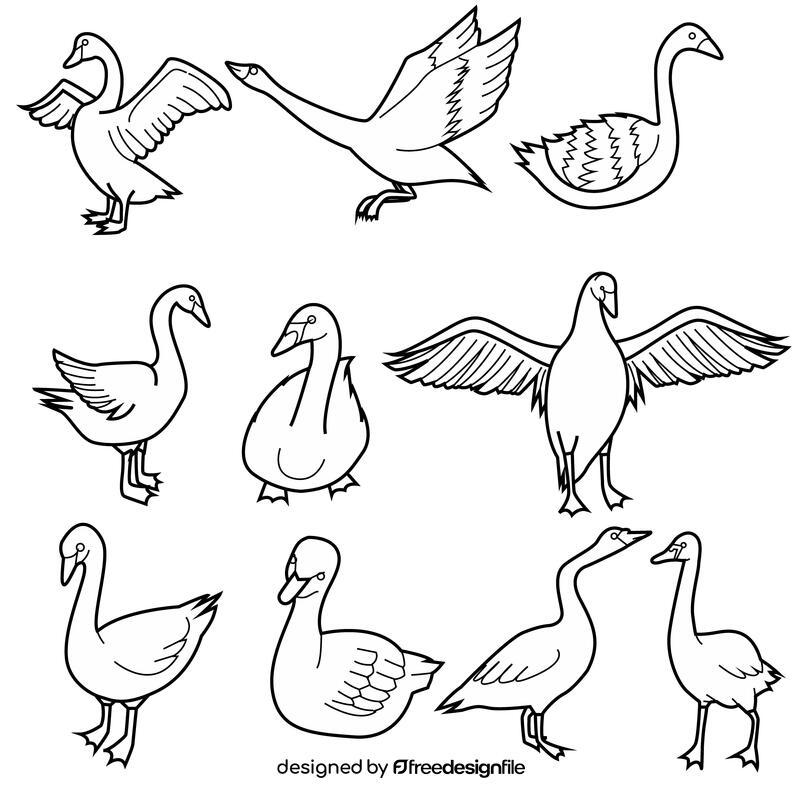 Swan set black and white vector